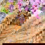 Silvia PN profile icon