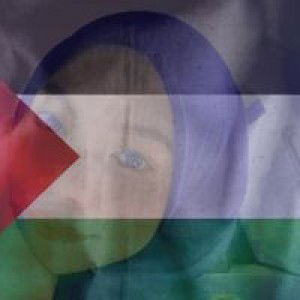 Ekin Azmi profile icon