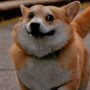 Nararirat Thummain profile icon