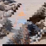 Taddy Bear profile icon