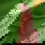 Lindaa Kasimm profile icon