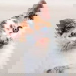 Bekti Setyo Ningsih profile icon