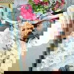 Novi Bungsu Sang Penyayang profile icon