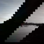 Apin Oviatin profile icon