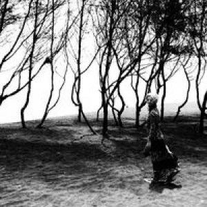 Riandini Madyasari profile icon