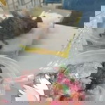 tiri ageung profile icon