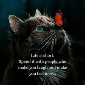 EN YA HS profile icon