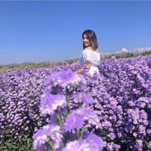 Benyapha Janpanya profile icon