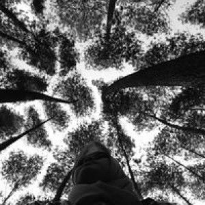 Cucu Sumarni profile icon