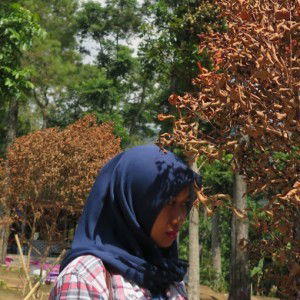 risa moninda profile icon