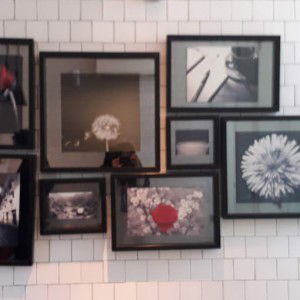 Assyva Nabila profile icon