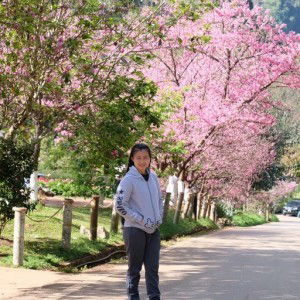 lai lai profile icon