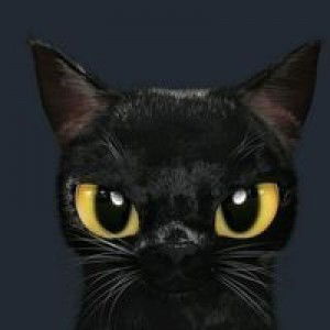 Thisisperi profile icon