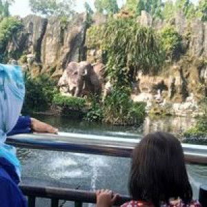 Wardha Khumairoh profile icon