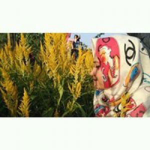 Sri Devi profile icon