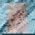 Windi Widia Wshop profile icon