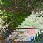 Puput wahyuning tias profile icon