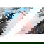 Sarah Verawati profile icon