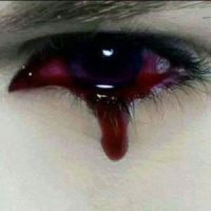 เพื่อ อะไร profile icon