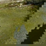 sartika dewi profile icon