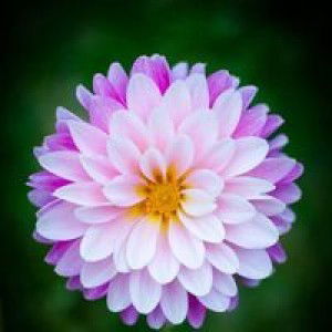 Ai Nurhayati profile icon