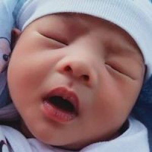 Beverly Carullo profile icon