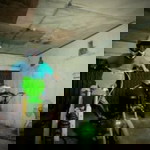 Sandy Sanfutra profile icon