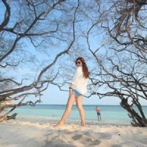 Punnapat Keeratihunsapong profile icon