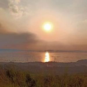 Capuyan Julie Ann profile icon