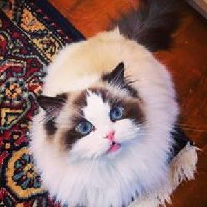 Ema Love profile icon