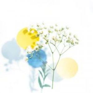 Xiamen Ng profile icon