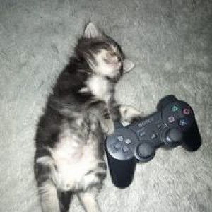 Ninda dewi lestari profile icon