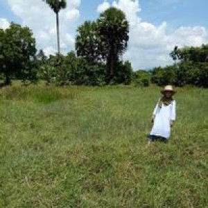 Wilda Hjsamaae profile icon