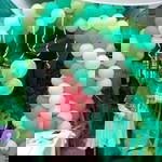 Hani Rohani profile icon