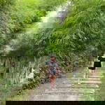 Elise Roque profile icon