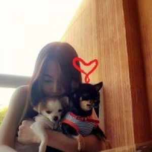 Peerapan Kaninwiwatkul profile icon