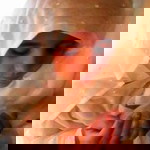 A-isah Stm profile icon