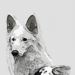 knazizah profile icon