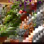 นิต้าร์ หทัยวรรณ profile icon