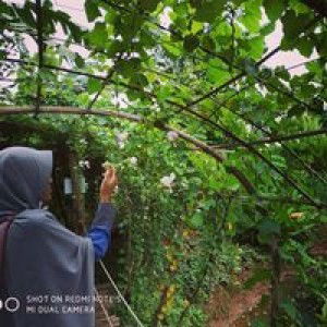 Siti Nur Habibah profile icon