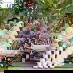 Syah Ismail profile icon