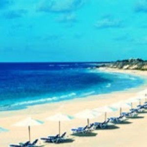 Ridha Amalina profile icon