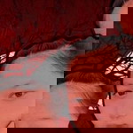 Supissara Phetsuriya profile icon