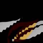 Ai Anjani Jakaria profile icon