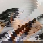 โฟกัส ฯ. profile icon