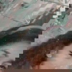 Jewel G Torres profile icon