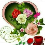 Vvria Lims profile icon