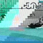 Liyana Prahestin profile icon