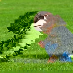 Akmal S profile icon