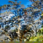 Jane Dante profile icon